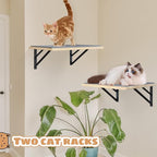 Burlywood Cat Furniture Indoor Set of 2: Wood Shelves with Scratching Pad, Climbing Shelf for Sleeping & Playing, Window Perch for Big Cats