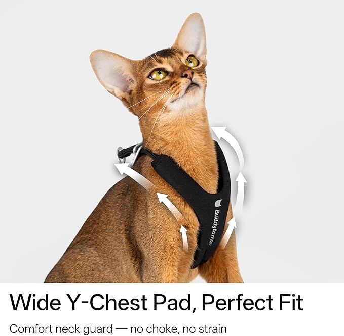 Escape Proof Y Shape Cat Harness Anti-Choke Buckle Adjustable Comfortable Padded Cat Vest Harness Anti Escape Cat Rope Harness for Kitten Small Medium Large Cats (Burgundy, M)