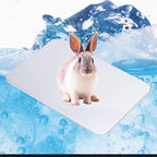 Rabbit Cooling Pad, 12x8 in Self Cooling Mat for Hamster Guinea Pig Chinchilla Bunny Kitten Cat and Other Small Animal, Pet Cool Ice Bed Plate Perfect for Hot Summer