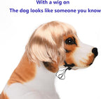 Funny Cosplay Wig for Dog, Headwear Apparel, Pet Costumes, Cat Dress up for Halloween, Christmas, Parties, Festivals (Golden Straight Hair)