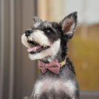 Beirui Cute Small Dog Harness Collar and Leash Set with Bowtie, Soft Adjustable Plaid Puppy Harness for Small Sized Dogs Cats Walks Parties and Photoshoots(Maroon,S:Chest 17-23")