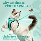 rabbitgoo Cat Harness and Leash for Walking, Escape Proof Soft Adjustable Vest Harnesses for Cats, Easy Control Breathable Reflective Strips Jacket, Emerald, S