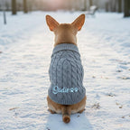 Custom Dog Sweater with Embroidered Name Personalized Knitted Winter Clothes for Small Medium Large Dogs Soft Pet Sweater for Cats Girl Boy Christmas Birthday Gifts