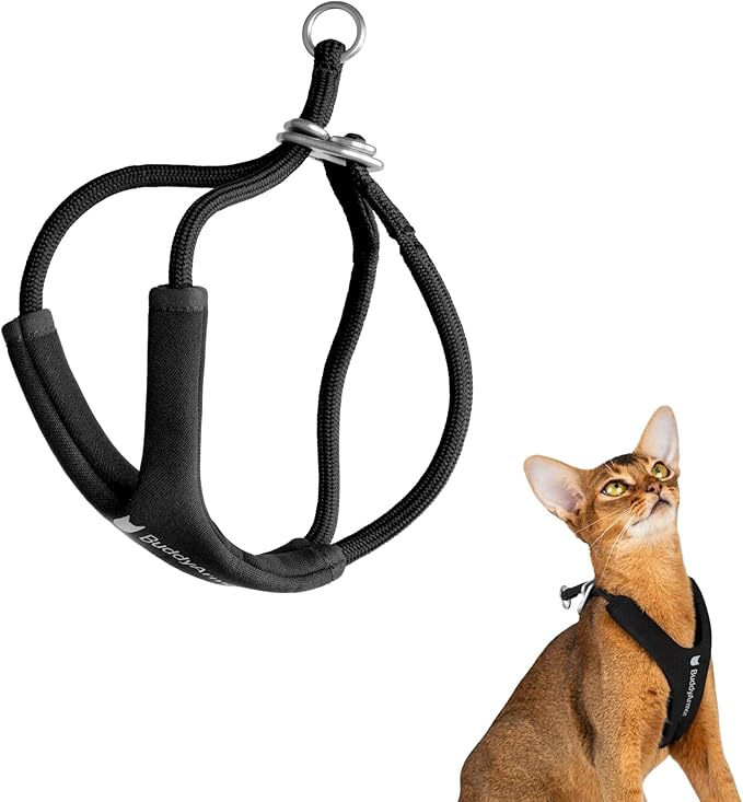 Escape Proof Y Shape Cat Harness Anti-Choke Buckle Adjustable Comfortable Padded Cat Vest Harness Anti Escape Cat Rope Harness for Kitten Small Medium Large Cats (Black, S)