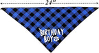 Dog Birthday Party Supplies,Pet Birthday Hat and Boy Doggy Birthday Bandana Set