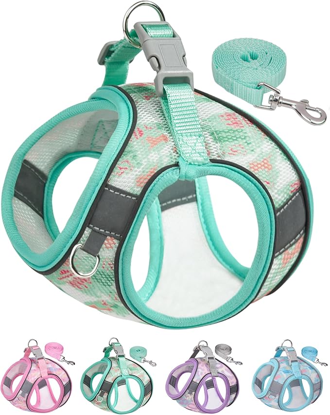 Dog Harness for Small Medium Dogs No Pull, Cat Harness and Leash Set, Step in Puppy Harness. (Green, XXS)
