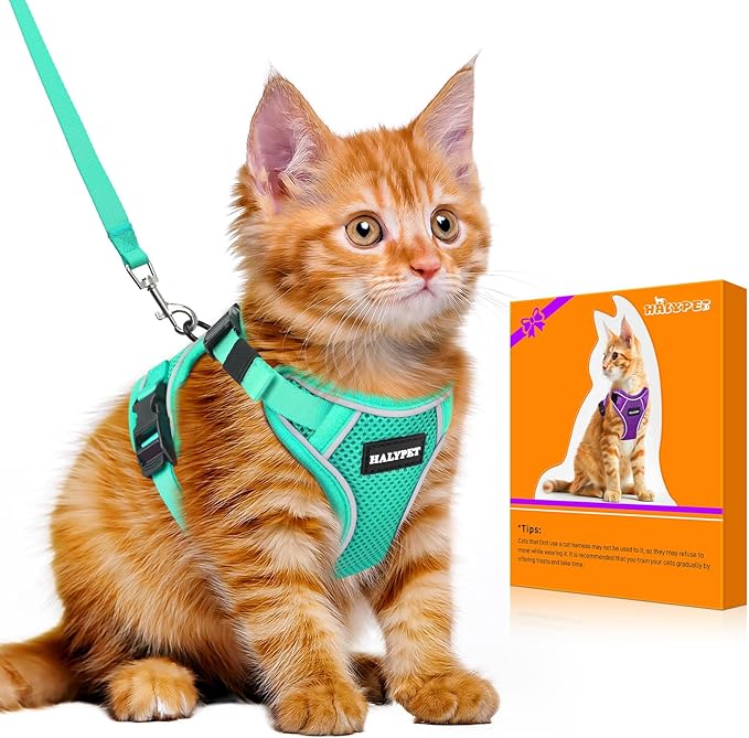 Halypet Cat Harness and Leash Set [MAX Safety 4th-Gen Upgrade] Escape Proof Adjustable Cat Leash Comfortable Soft Vest Easy to Wear Kitten Harness with Reflective Strip for Cats Walking, M Green