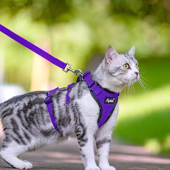 PUPTECK Cat Harness and Leash Set Escape Proof for Walking, Breathable Mash Vest Adjustable Harness for Cats Puppy Small Animals, Reflective at Night, Purple Medium