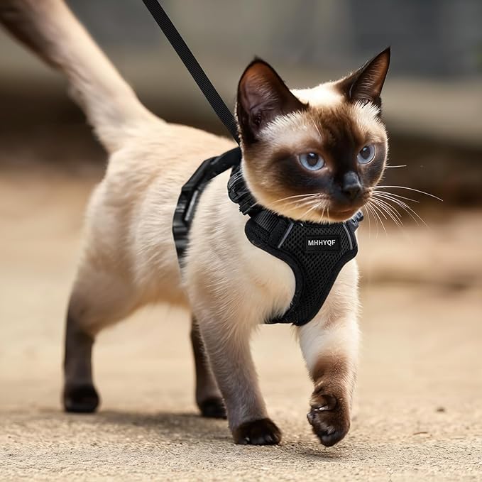 Cat Harness and Leash Set for Walking Escape Proof, Improved Four Place Adjustable Cat Car Harness, Soft Kittens Vest with Reflective Strip for Cats, Comfortable Outdoor Vest, Black, XS