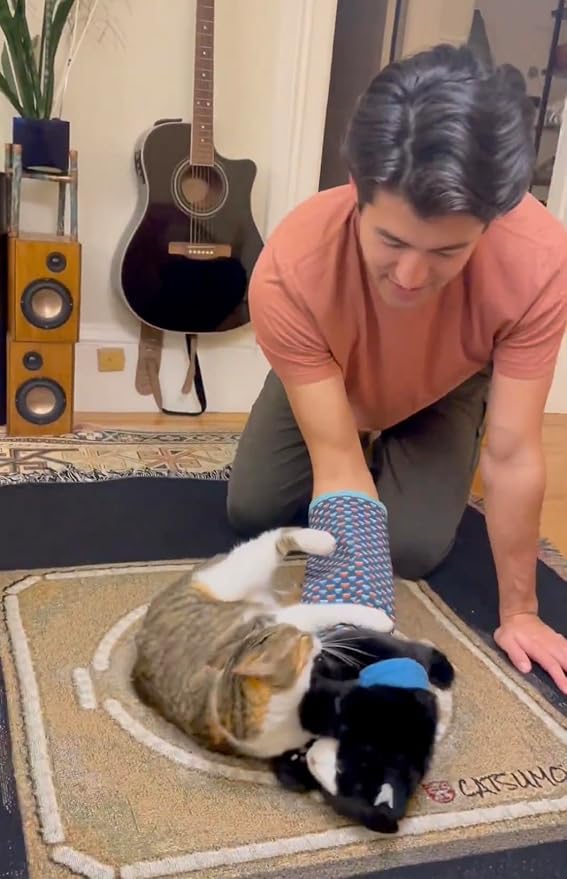 Cat Wrestling Glove Puppet Toy – Interactive Hand Mitt with Durable Protective Sleeve and Catnip - Play & Enrichment