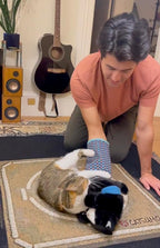 Cat Wrestling Glove Puppet Toy – Interactive Hand Mitt with Durable Protective Sleeve and Catnip - Play & Enrichment