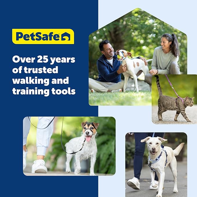 PetSafe Come With Me Kitty Cat Harness & Bungee Leash - Comfortable Cat Harness with Lightweight Bungee Leash for Outdoor Fun - More Secure Walks - Medium - Lilac