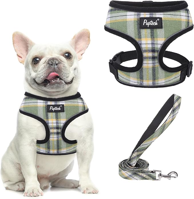 PUPTECK Soft Mesh Dog Harness and Leash Set Pet Puppy Cat Comfort Padded Vest No Pull Harnesses, Green/Yellow, S