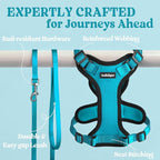rabbitgoo Cat Harness and Leash for Walking, Escape Proof Soft Adjustable Vest Harnesses for Cats, Easy Control Breathable Reflective Strips Jacket, Teal, XS