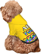 Personalized Dog Hoodie Custom Hooded Pet Warm Pullover Sweatshirt with Name Number Clothes for Chihuahua Pupppy Kitten Hoodies Puppy Soft Sweater Winter Small Dogs Cats, Gold, L,