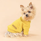 Fitwarm 3 Pack Classic Fleece Dog Sweater, Turtleneck Dog Sweatshirt, Winter Clothes for Small Dogs BoyGirl, Pet Pullover Jumper, Cat Apparel, Orange, Yellow, Coffee, Medium