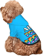 Dog Hoodie Design Your Own Personalized Pet Hoodies Small Pets Wear Shirt Customized Dog Clothes Custom Hooded Sweatshirt Pullover Text Image Dogs Puppy Cat and Kitten, Deep Sky Blue, XL,