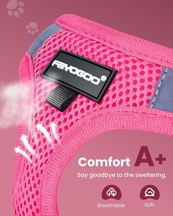 FAYOGOO Cat Harness, Cat Leash and Harness Set for Walking Escape Proof, Harness for Small Cats/Small Dogs, Large Kitten/Puppy Harness and Leash, Harness for Cats S-XXL(Pink, XX-Large)