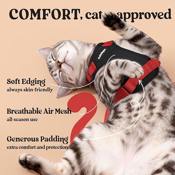 rabbitgoo Cat Harness and Leash for Walking, Escape Proof Soft Adjustable Vest Harnesses for Cats, Easy Control Breathable Reflective Strips Jacket, Black & Red, S