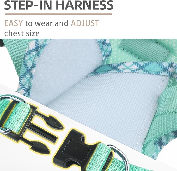 PUPTECK Dog Harness and Leash Set for Small Medium Dogs No Pull Step-in Soft Mesh Puppy Cat Vest Harnesses Reflective at Night, Upgraded New Green S
