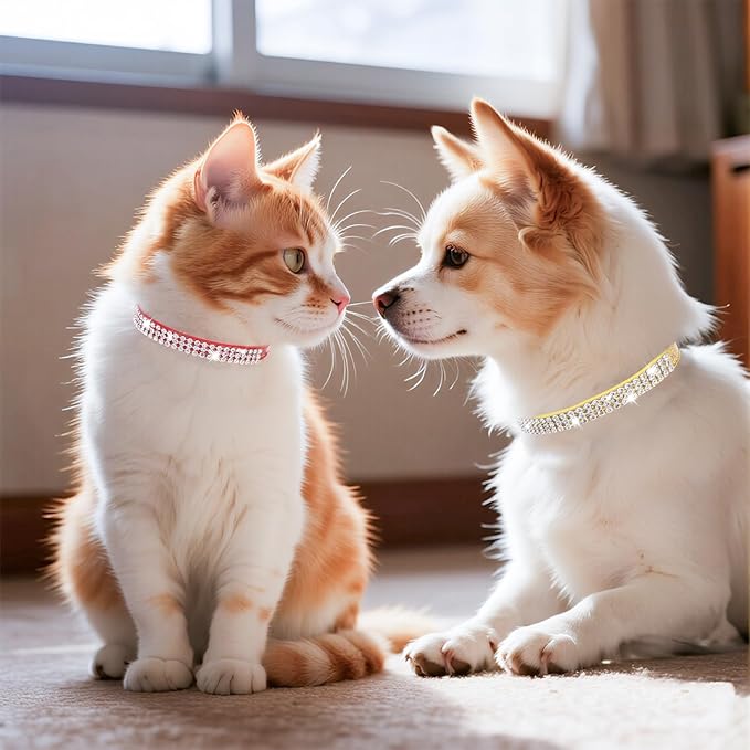 PUPTECK Basic Adjustable Cat Collar with Bling Diamond and Double Bells, for Kitten and Small Puppy, Fashion and Shining Dog Rhinestone Collars, 6-8 in, Gold