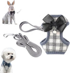 Cat Harness, Dog Harness and Leash Set, Bunny Rabbit Ferret Harness with Adjustable Buckle Comfort for Pet Kitten Small Animals Harnesses