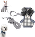 Cat Harness, Dog Harness and Leash Set, Bunny Rabbit Ferret Harness with Adjustable Buckle Comfort for Pet Kitten Small Animals Harnesses