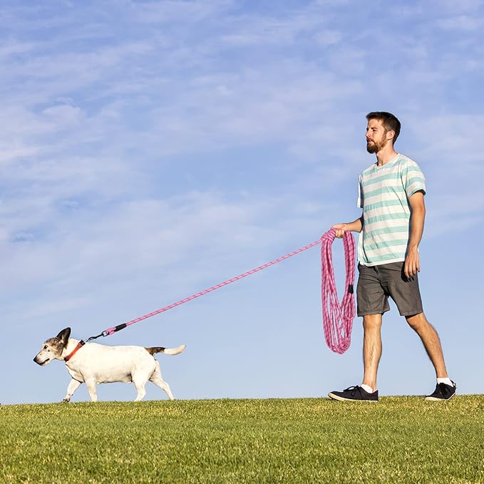 Long Dog Leash for Training 20Ft-Reflective Nylon Rope with Swivel Hook-Recall Agility Lead for Large Small Medium Dogs Outside Walking Hiking-Pink