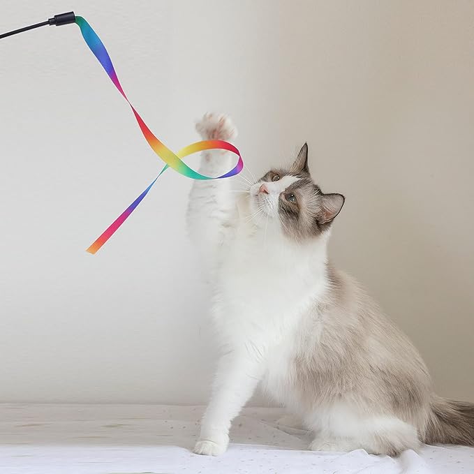 Cat Wand Interactive Toy, 5 Sets Colorful Fabric Ribbon Sticks, Indoor Interactive Cat String Toy