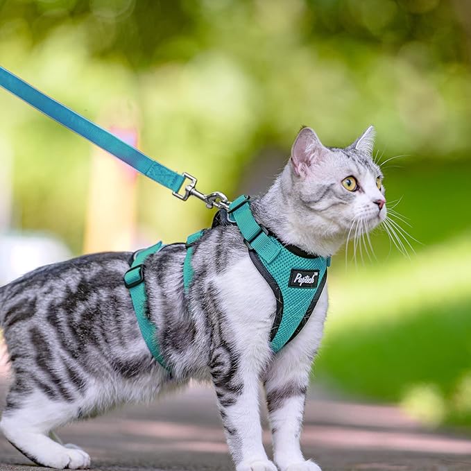 PUPTECK Cat Harness and Leash Set Escape Proof for Walking, Breathable Mash Vest Adjustable Harness for Cats Puppy Small Animals, Reflective at Night, Green Small