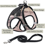 Dog Harness with Leash Set, No Pull Adjustable Reflective Step-in Puppy Pet Vest Harnesses for Small Medium Large Dogs and Cats,Camo Set XL