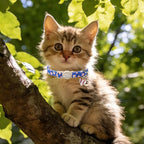 Unique Style Paws Baseball Kitten Collars,Cute Blue Cats Collar with Bell,Kitten Collar Breakaway Buckle with Heart Pattern,Adjustable Cat Collars,Ideal Gift for Boy Girl Cats
