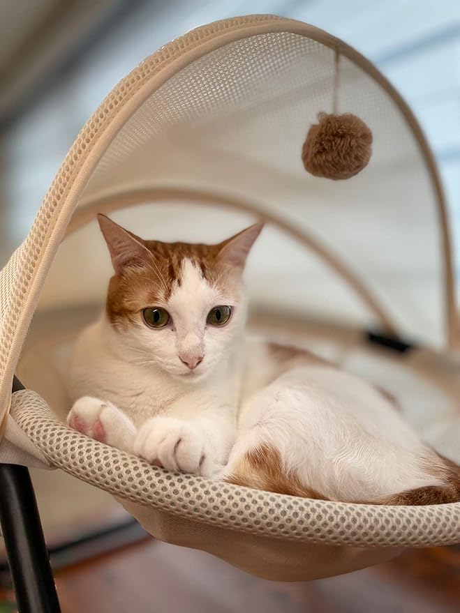 Cat Bed, Pet Hammock Bed for Cats and Dogs, Comfortable and Breathable Elevated Cat & Dog Nest, Easy to Assemble, Cover Removable and Washable, Suitable for Indoor and Outdoor Use (Cream)