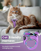 FAYOGOO Cat Harness, Cat Leash and Harness Set for Walking Escape Proof, Harness for Small Cats/Small Dogs, Large Kitten/Puppy Harness and Leash, Harness for Cats S-XXL(Modern Violet, Large)