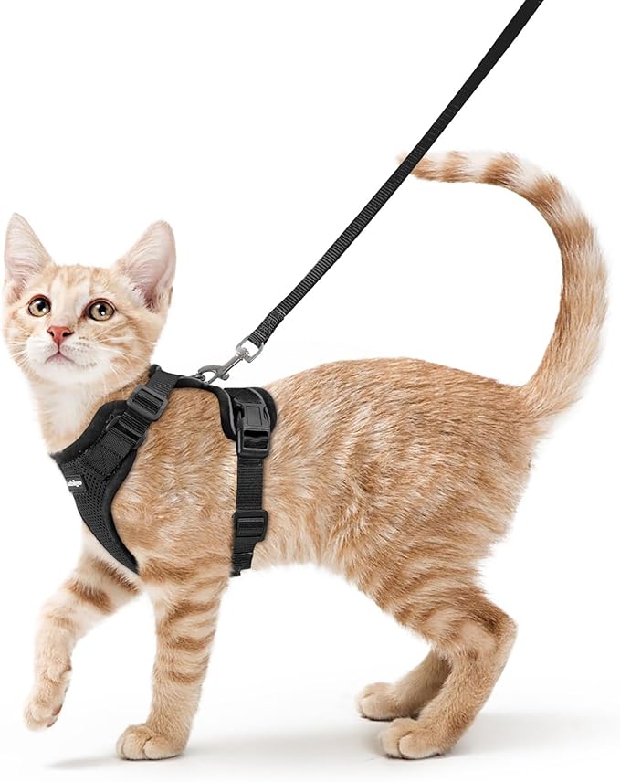 rabbitgoo Cat Harness and Leash for Walking, Escape Proof Soft Adjustable Vest Harnesses for Cats, Easy Control Breathable Reflective Strips Jacket, Black, S