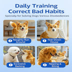 Dog Training Stick for Puppies and Dogs, Flexible Exercise Stick, Obedience Training Tool