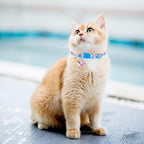 PUPTECK Summer Cat Collars Breakaway with Bell - Pet Collar 3 Pack for Girl Boy Kittens Puppies and Small Pets
