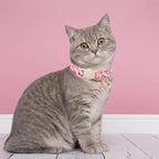 Cat Collar, 2Pack Valentine's Day Kitten Collars Cute Breakaway Cat Collar with Bell, Red Love Heart Pink Hearts Kitty Collars Adjustable Size for Girl and Boy Cats