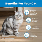 Best Pet Supplies Catify Cat Scratcher, Fun Interactive Scratchers, Posts, Poles, Claw Safe, Furniture Saver Indoor Play Support Natural Cat Behaviors Heavy Duty - Wave (2 Pack)