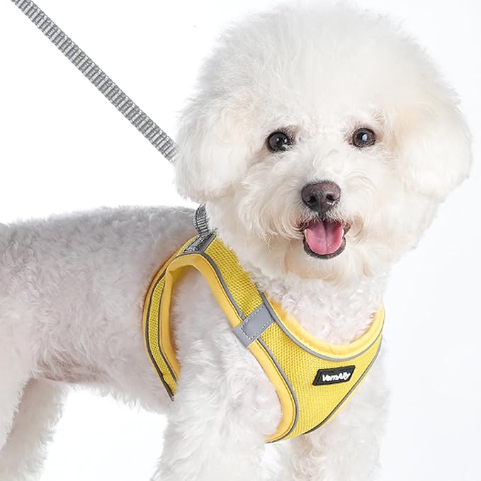 Sparkly Dog Harness Small Sized and Leash Set for Small Dogs Cats,Yellow S Puppy Harness, Step in Soft Dog Reflective Vest, Breathable Mesh Pet Harness. (Yellow, S)