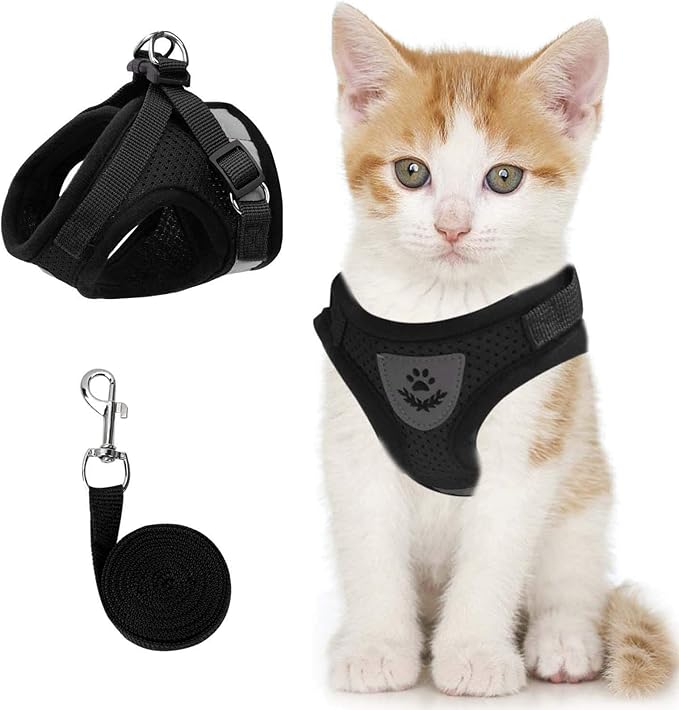 Cat & Dog Vest Harness - All Weather Mesh, Reflective Strap, Step-in Adjustable for Small Cats & Dogs (Black, XS)