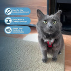 Voyager Escape-Proof Step-in Lock Cat Harness & 5ft Neoprene-Handle Leash Set All-Weather Mesh with Reflective Stitching for Small to Large Cats by Best Pet Supplies, Red/Black Trim, XS