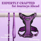 rabbitgoo Cat Harness and Leash for Walking, Escape Proof Soft Adjustable Vest Harnesses for Cats, Easy Control Breathable Reflective Strips Jacket, Purple, XXS