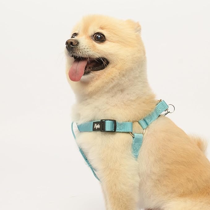 PUPTECK No Pull Dog Harness Soft Adjustable Basic Nylon Step in Puppy Vest Outdoor Walking with ID Tag