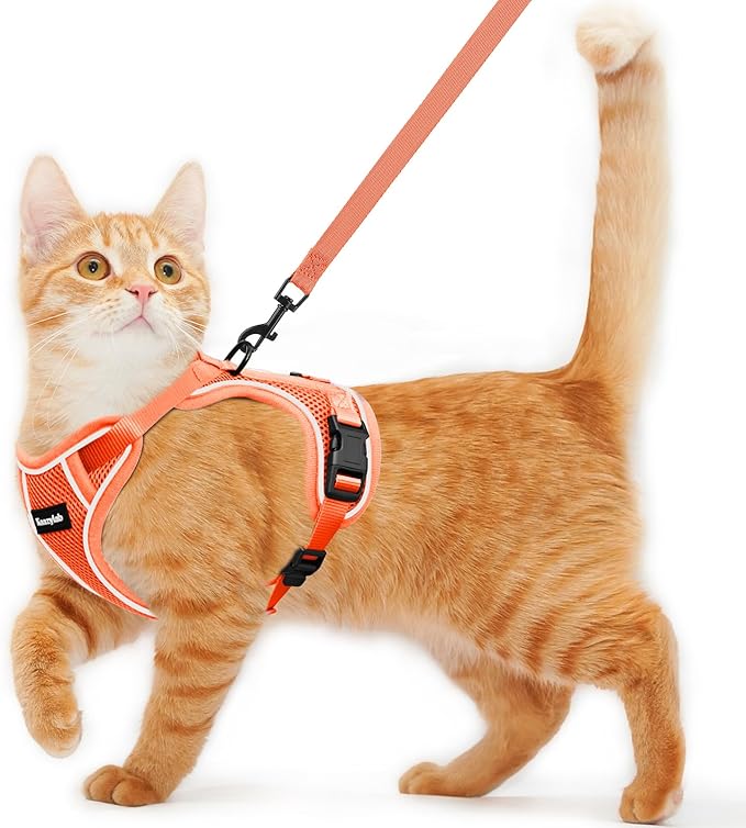 Cat Harness and Leash for Walking Escape Proof Soft Adjustable Cat Leash Breathable Comfortable Vest Easy to Wear Kitten Harness for Outdoor Travel Orange M