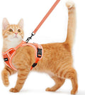Cat Harness and Leash for Walking Escape Proof Soft Adjustable Cat Leash Breathable Comfortable Vest Easy to Wear Kitten Harness for Outdoor Travel Orange M