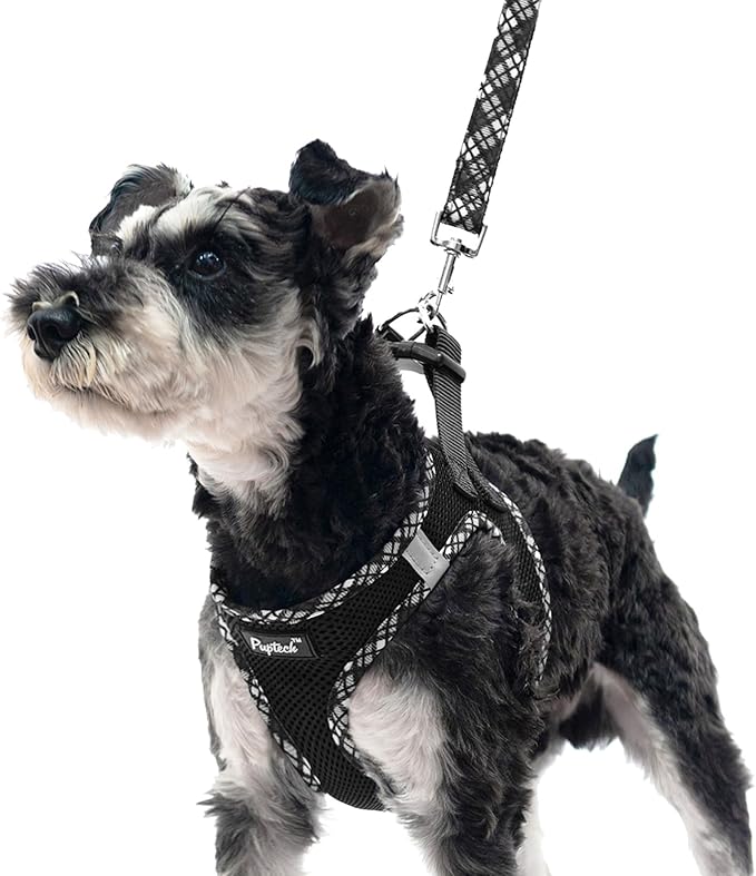 PUPTECK Dog Harness and Leash Set for Small Medium Dogs No Pull Step-in Soft Mesh Puppy Cat Vest Harnesses Reflective at Night, Black XS