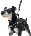 PUPTECK Dog Harness and Leash Set for Small Medium Dogs No Pull Step-in Soft Mesh Puppy Cat Vest Harnesses Reflective at Night, Black L
