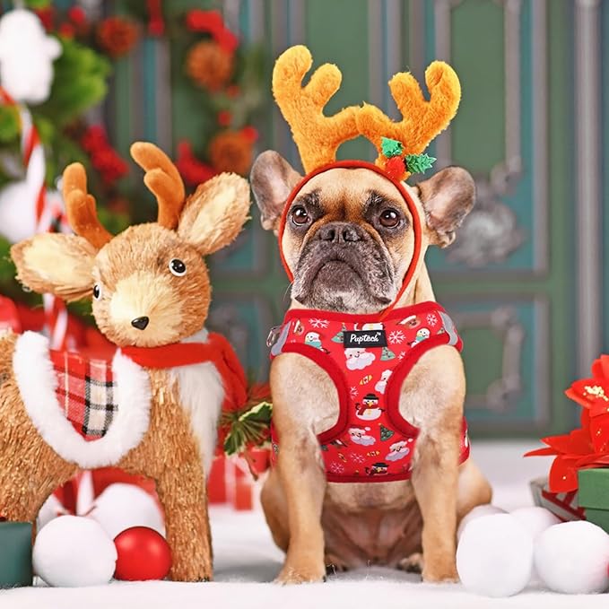 PUPTECK Dog Harness and Leash Set for Small Medium Dogs No Pull Step-in Soft Mesh Puppy Cat Vest Harnesses Reflective at Night, Christmas, S