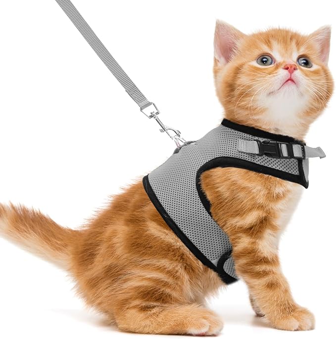 PUPTECK Soft Mesh Cat Vest Harness and Leash Set Puppy Padded Pet Harnesses Escape Proof for Cats Small Dogs Rabbits Bunny, Grey S